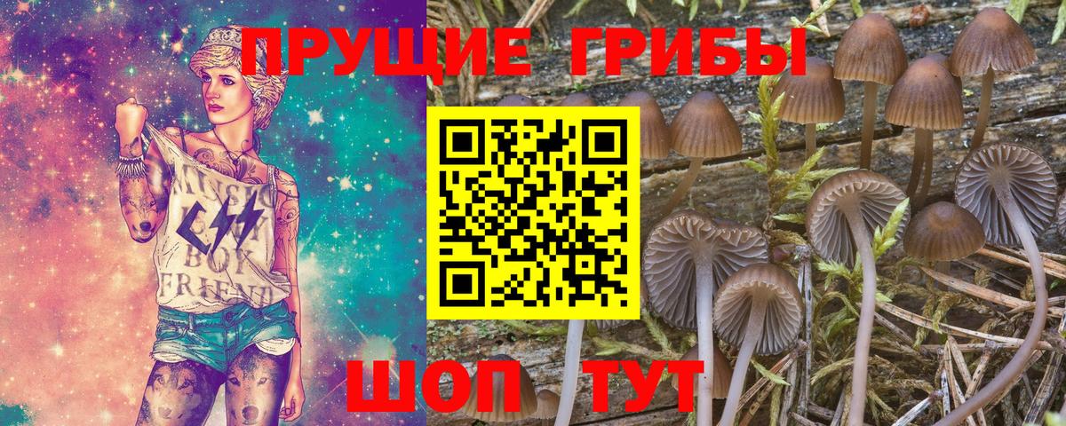 Михайловка  Галлюциногенные грибы мицелий  Вход с VPN  Псилоцибиновые грибы ЛСД 
